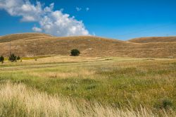 La vegetazione spoglia dell'Altopiano delle Cinque Miglia nei pressi di Rivisondoli, provincia abruzzese de L'Aquila.
