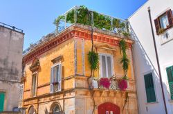 La visita al centro di Conversano in Puglia - © Mi.Ti. / Shutterstock.com