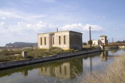La visita al parco di Molentargius vicino a Quartu Sant'Elena in Sardegna