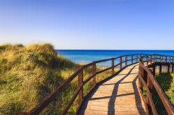 La visita alle dune di sabbia, il parco naturale delle dune costiere di Torre Canne di Fasano