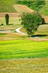 La vsita al Parco Regionale di Colfiorito nel comune di Foligno (Umbria)