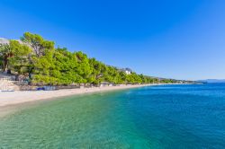L'acqua cristallina del Mare Adriatico lambisce la costa di Tucepi, Croazia.

