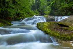 L'acqua di un torrente nei pressi di Isny im Allgau, Germania.



