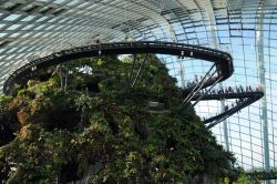 L'afoso Cloud Forest Dome, una delle due serre dei Gardens by the Bay, ricrea il clima tropicale montano e a suo centro si erge imponente una montagna alta 35 metri con tanto di cascata. ...