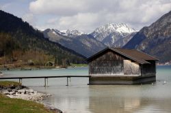 Particolare del lago Achensee, Austria - Incastonato fra le montagne, questo lago naturale del Tirolo si distende come un tappeto verde nella valle Achental. Simile a un fiordo, d'estate ...