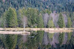 Il lago di Lispach si trova sui monti Vosgi, non lontano da Munster in Alsazia - © LENS-68 / Shutterstock.com