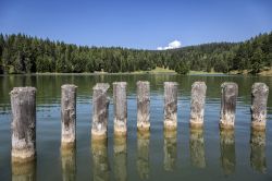 Il lago di Tret immerso fra la natura della Val di Non, Trentino. Circondato da un fitto bosco, questo specchio d'acqua, dotato di attracco, si trova a 1600 metri di altitudine.



