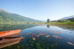 Lago Plav, Montenegro. Una spettacolare immagine delle acque di questo lago che si estende in direzione nord sud per 2.160 metri con una profondità media di 9. Il suo nome, Plav o Plavsko, ...