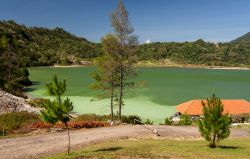 Il Danau Linow è un lago sulfureo che ricopre una superficie di 34 ettari sull'isola di Sulawesi, Indonesia. Il suo colore cambia a seconda del punto d'osservazione e dell'illuminazione ...