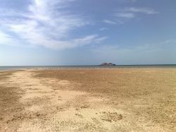 Laguna di Dakhla, fenicotteri rosa: non è ...