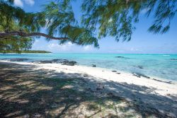 Laguna turchese dell'isola dei Cervi, Mauritius ...