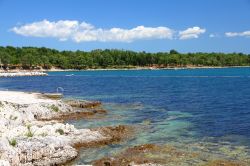 Laguna Zelena nei pressi di Porec, Croazia. Situata circa 5 chilometri a sud di Porec, questa bella laguna è una delle più suggestive fra quelle che si affacciano sul Mar Adriatico ...