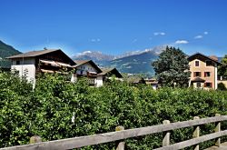 Le case di Lagundo, il villaggio rimane vicino a Merano - © bikemp / Shutterstock.com