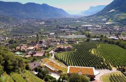 il villaggio di Lagundo, i vigneti e la  valle fiume Adige ad ovest di Merano