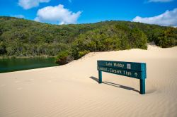 Lake Wabby, uno dei laghi che si trovano su Fraser Island, parte del Great Sandy National Park in Queensland (Australia).