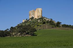 L'antico castello di Gela in Sicilia meridionale - © luigi nifosi / Shutterstock.com