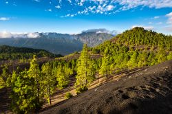 La lava ricopre la vallata presso Cumbre Nueva sull'isola di La Palma (Canarie, Spagna).
