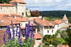 Lavanda fiorita con il borgo di Aubeterre-sur-Dronne sullo sfondo, Francia.
