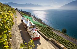 Lavaux Express, il trenino tra i vigneti terrazzati sul lago (Cortesia Svizzera Turismo).