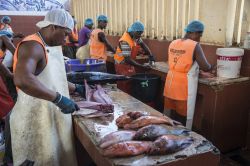 Lavoratori del mercato del pesce a Mindelo, isola di Sao Vicente (Capo Verde) - © Salvador Aznar / Shutterstock.com
