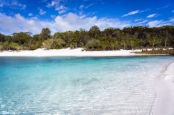 Le acque cristalline del Lake McKenzie su Fraser Island la grande isola di sabbia dell'Australia. 