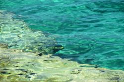 Le acque cristalline di Punta Prosciutto in provincia di Lecce (Salento)