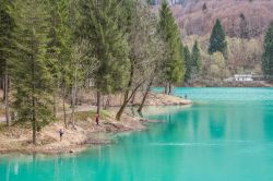 Le acque verdi del Lago di Barcis in Friuli