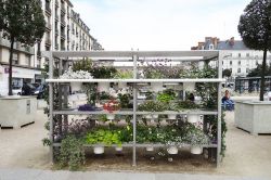 Le aiuole verticali di Place de La Republique a Rennes, Bretagna (Francia).
