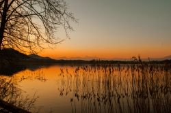 Le Alpi Apuane sullo sfondo fotografate dalle campagne di Bientina in Toscana