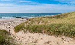 Le belle dune sabbiose con l'oceano sullo sfondo a Renesse, Zelanda, Paesi Bassi. Siamo in una delle stazioni balneari più frequentate.



