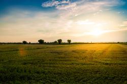 Le campagne che circondano Buttrio, provicia di Udine, Friuli Venezia Giulia