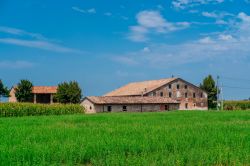 Le campagne che circondano la cittadina di Cortemaggiore in Pianura Padana, Emilia-Romagna