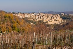 Le campagne del borgo di Grotte di Castro, nel Lazio