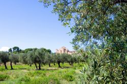 Le campagne di Fossacesia, gli ulivi e l'abbazia di S. Giovanni del XIII secolo in Abruzzo