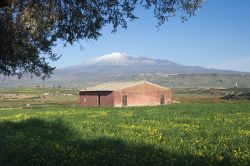 Le campagne di Regalbuto fotografate all'inizo della primavera