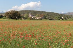 Le campagne e l'Abbazia di Fossanova a Priverno nel Lazio