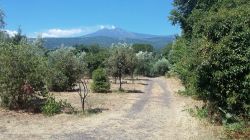 Le campagne inteorno a Linguaglossa e il Monte Etna sullo sfondo