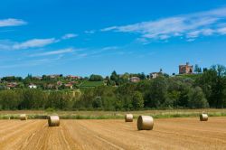 Le campagne intorno a Fossano in estate. Siamo in Provincia di Cuneo, in Piemonte