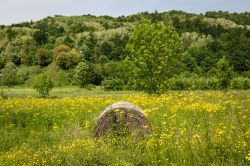 Le campagne intorno a San Pietro al Natisone in estate, siamo in provincia di Udine nel Friuli