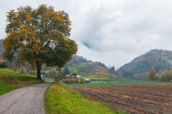 Le campagne intorno a Varna, provincia di Bolzano, Alto Adige