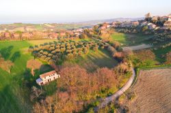 Le campagne intorno al borgo di Mondolfo nelle Marche