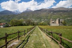 Le campagne della Valle d'Aosta in estate, intorno al Castello di Fenis