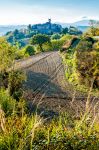 Le campagne marchigiane intorno al borgo medievale di Montefabbri vicino ad Urbino - © Maxal Tamor / Shutterstock.com