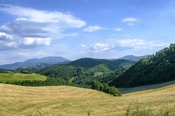 Le campagne marchigiane nei pressi di Urbania, provincia di Pesaro-Urbino