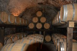 Le cantine Alois Lageder a Magrè sulla Strada del Vino