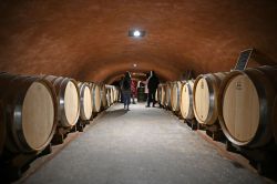 Le cantine di Monte Fasolo a Cinto Euganeo - Foto di Sonja Vietto Ramus