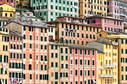 I mille colori delle case di Camogli, perla della Liguria - le case di Camogli, così come quelle di Portofino e di Manarola, rientrano appieno in uno stile all'insegna del colore ...