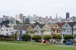 Le case colorate di Alamo Square a San Francisco in California (USA).
