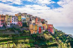 Le case colorate del borgo di Corniglia in Liguria, Cinque Terre.