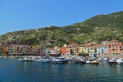 Le case colorate di Giglio Porto, sulla costa orientale dell'isola toscana - © trotalo / Shutterstock.com 